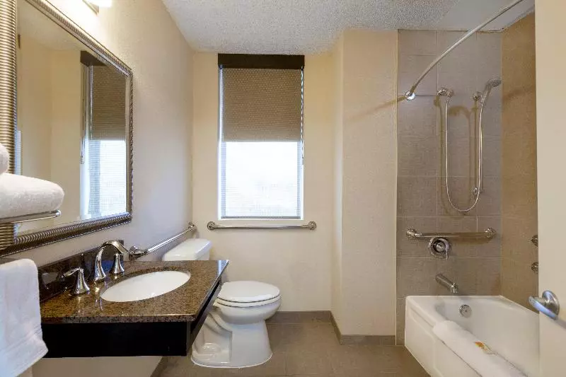 キングサイズベッドのスタンダードルーム, Holiday Inn Metairie New Orleans, An Ihg