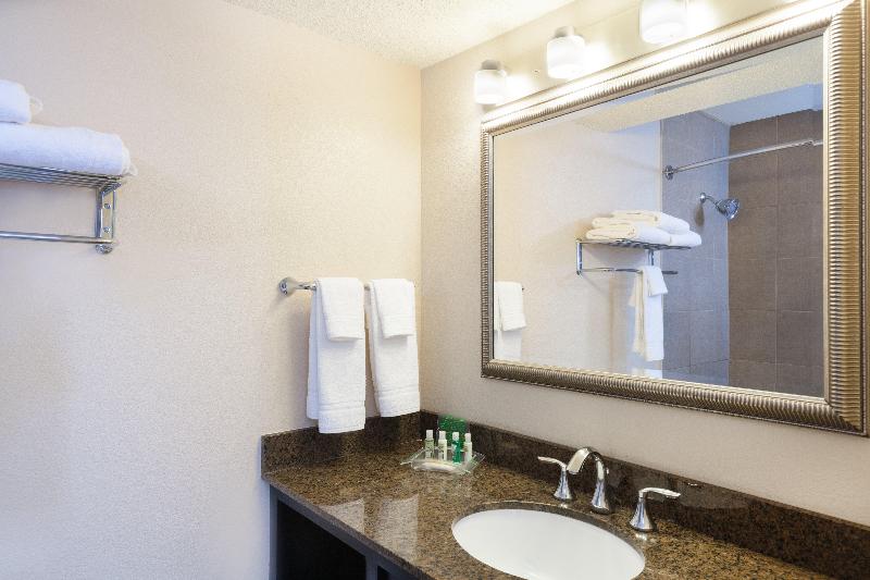 اتاق استاندارد, Holiday Inn Metairie New Orleans, An Ihg