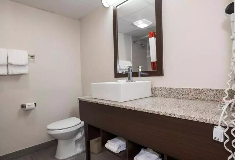 キングサイズベッドのスーペリアルーム, Red Roof Inn Plus+ Poughkeepsie