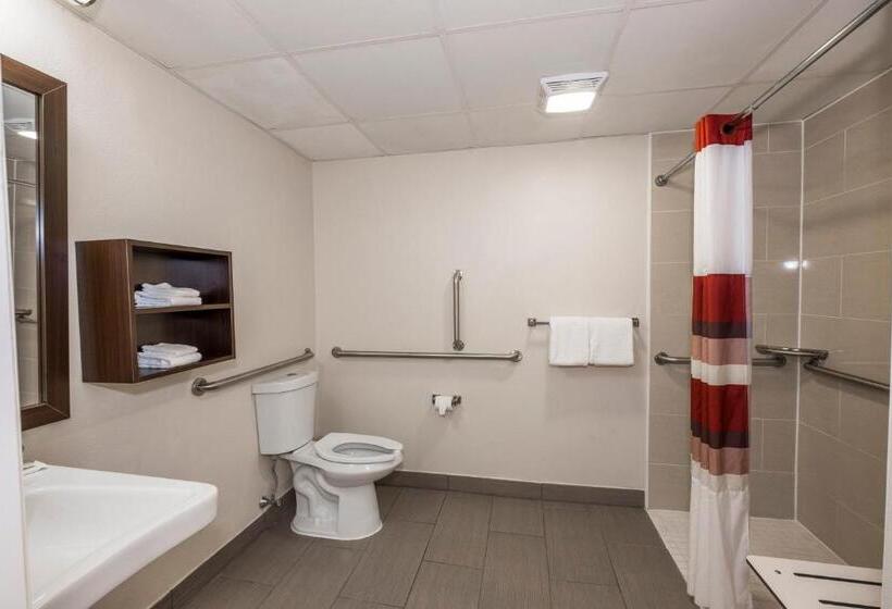 Номер Deluxe Адаптированный для Инвалидов, Red Roof Inn Plus+ Poughkeepsie