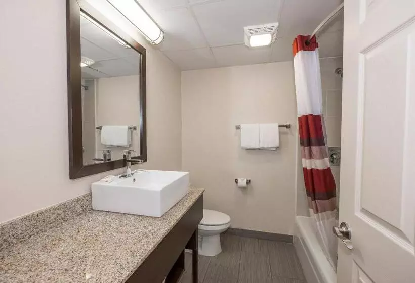 スーペリアールーム, Red Roof Inn Plus+ Poughkeepsie