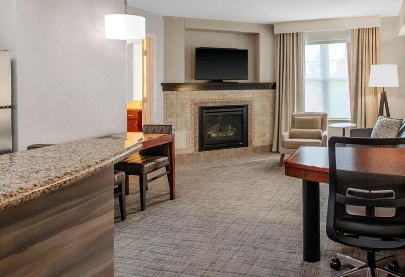 带大床的套房, Residence Inn By Marriott Yonkers Westchester County