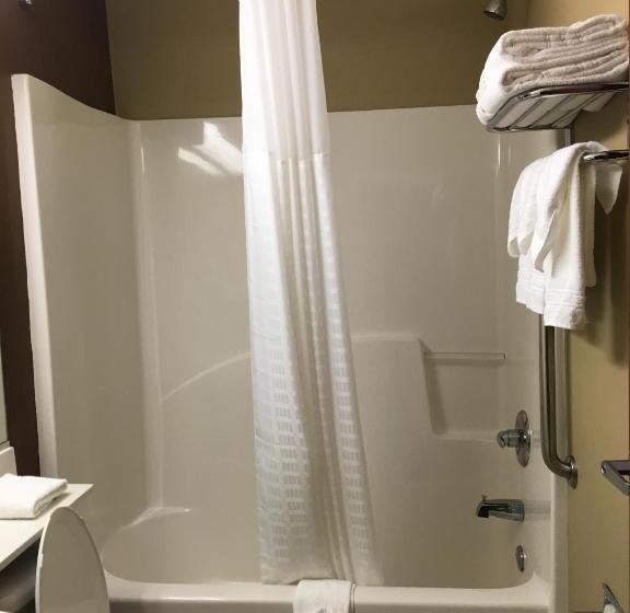 إستوديو قياسى, Microtel By Wyndham Perry National Fairground Area I 75