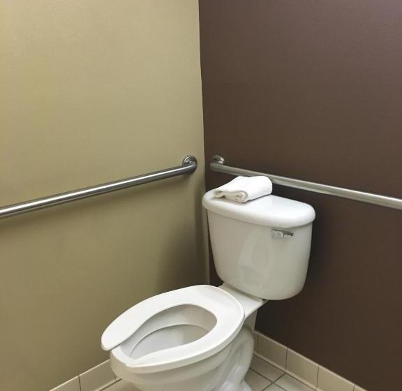 غرفة قياسية لذوى الاحتياجات الخاصة, Microtel By Wyndham Perry National Fairground Area I 75