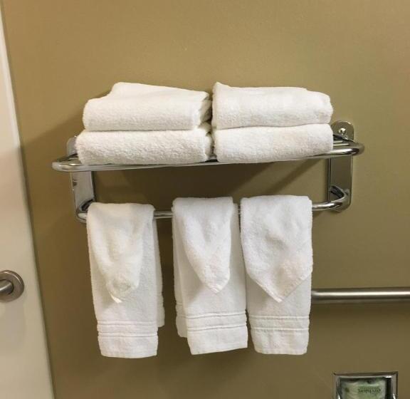 غرفة قياسية لذوى الاحتياجات الخاصة, Microtel By Wyndham Perry National Fairground Area I 75