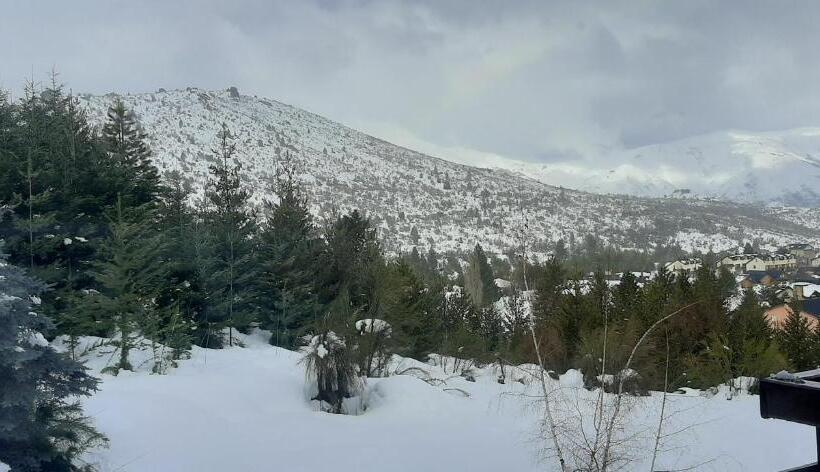 家庭间, Apartur Catedral