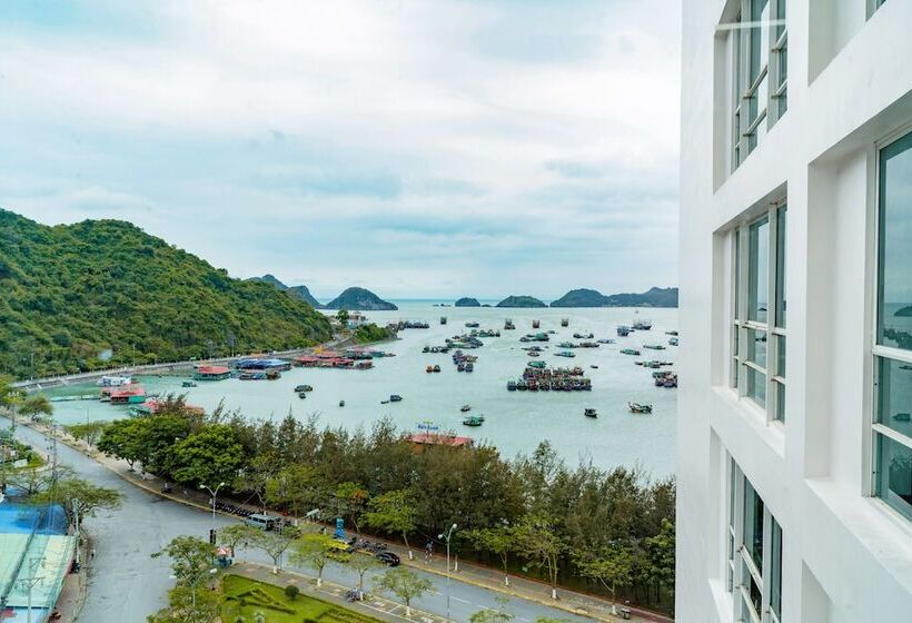 اتاق استاندارد, Draco Qk3 Cat Ba