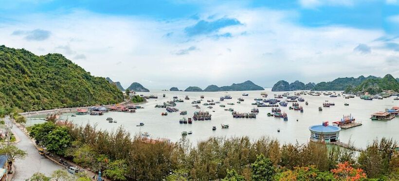 اتاق استاندارد, Draco Qk3 Cat Ba