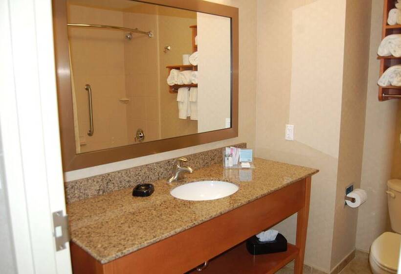 غرفة قياسية, Hampton Inn Sidney Ne