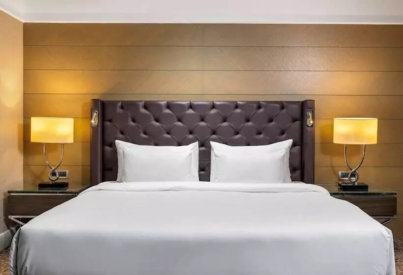 シティビュープレミアムルーム, Radisson Blu Hotel, Istanbul Sisli