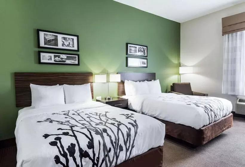 ２ダブルベッドのスタンダードルーム, Sleep Inn & Suites Smithfield Near I 95