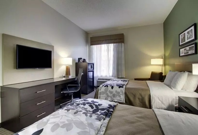 ２ダブルベッドのスタンダードルーム, Sleep Inn & Suites Smithfield Near I 95