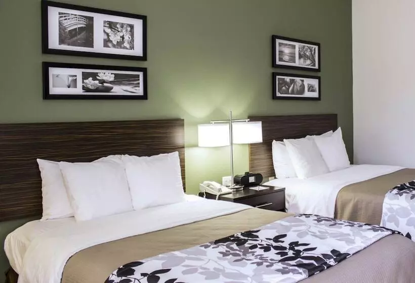 ２ダブルベッドのスタンダードルーム, Sleep Inn & Suites Smithfield Near I 95