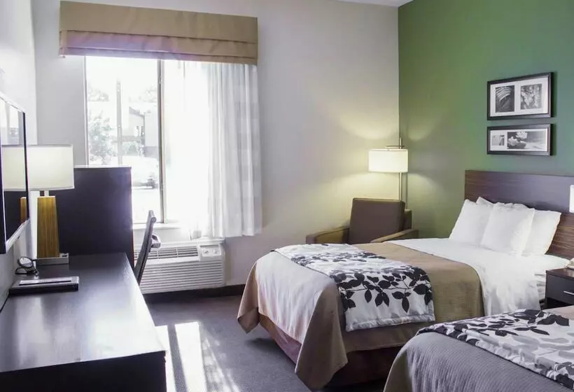 ２ダブルベッドのスタンダードルーム, Sleep Inn & Suites Smithfield Near I 95