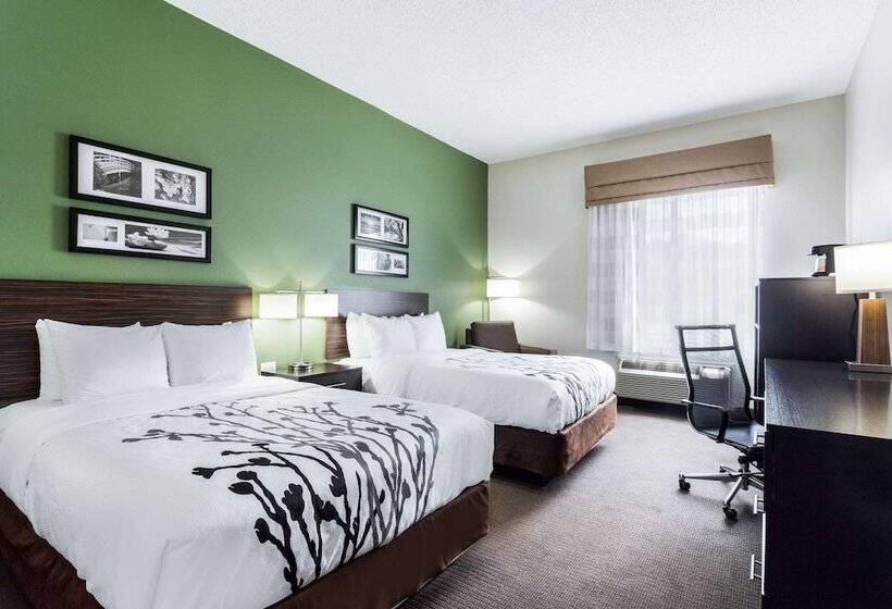 Номер Стандарт 2 Двуспальные Кровати, Sleep Inn & Suites Smithfield Near I 95