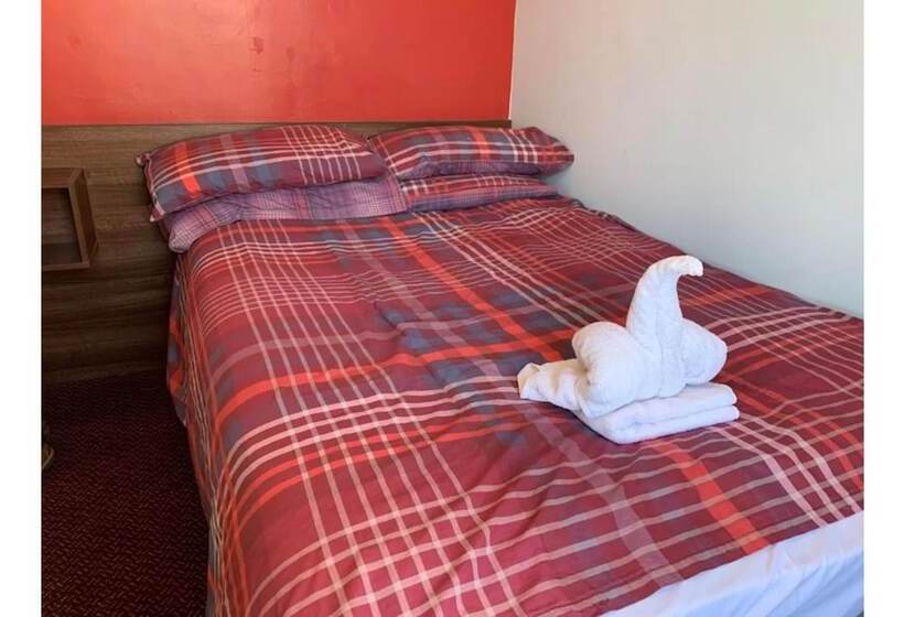 スタンダードルーム, Swandown