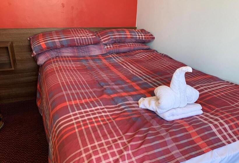 ルームシェアのワンベッド, Swandown