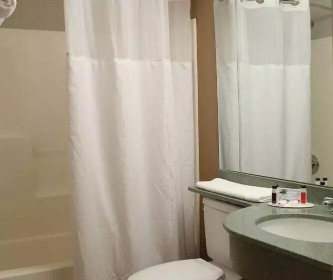 デラックスルーム, York Microtel Inn & Suites By Wyndham