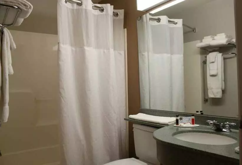 デラックスルーム, York Microtel Inn & Suites By Wyndham