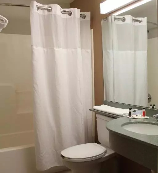 スタンダードルーム, York Microtel Inn & Suites By Wyndham