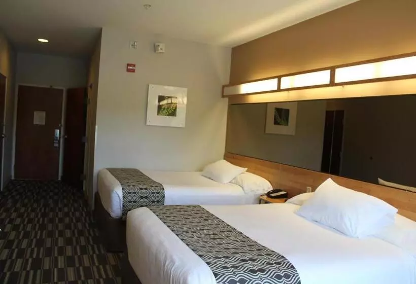 身障者適用スタンダードルーム, York Microtel Inn & Suites By Wyndham