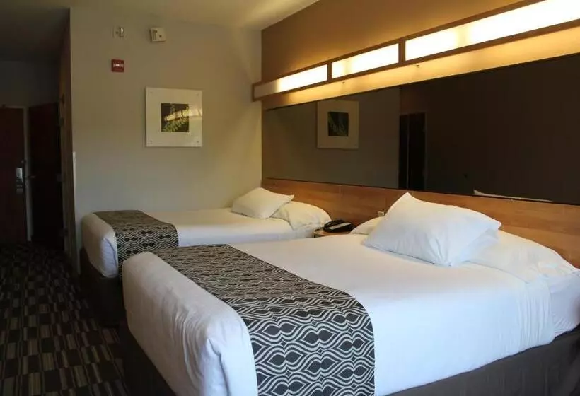 身障者適用スタンダードルーム, York Microtel Inn & Suites By Wyndham