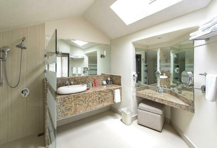 小型套房, Casa Del Alma Hotel Boutique & Spa