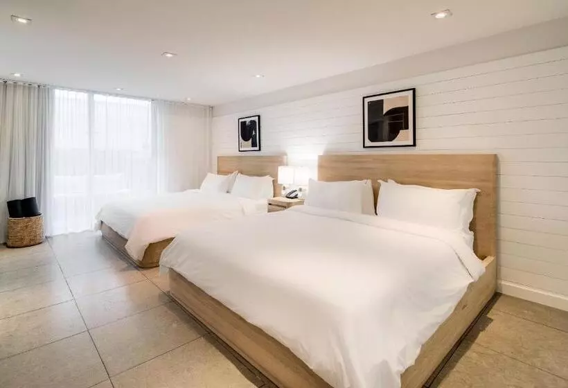 Standard-studio Terassi, Boulan South Beach