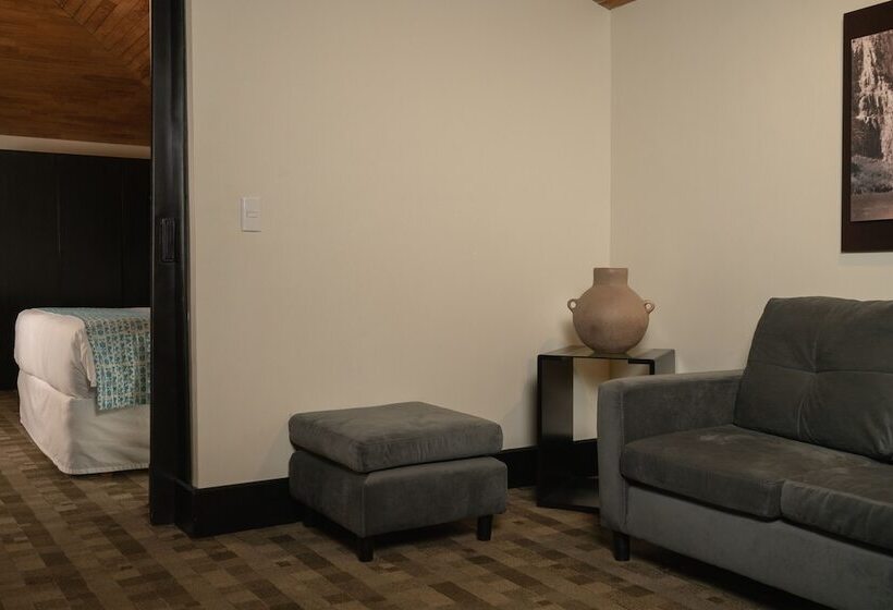 小型套房, Casa Del Alma Hotel Boutique & Spa