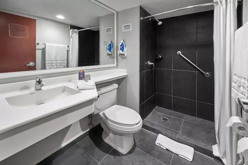 اتاق استاندارد, City Express By Marriott San Luis Potosi Zona Universitaria