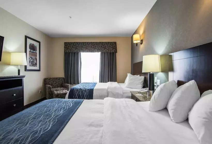 スイート, Comfort Inn & Suites