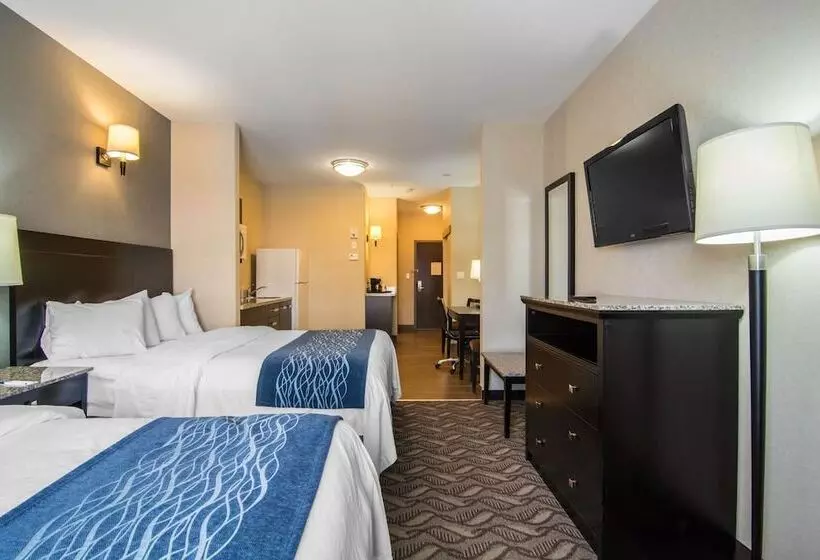 スイート, Comfort Inn & Suites