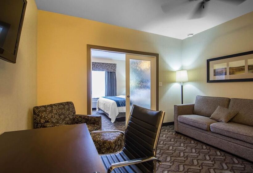 סוויטה, Comfort Inn & Suites