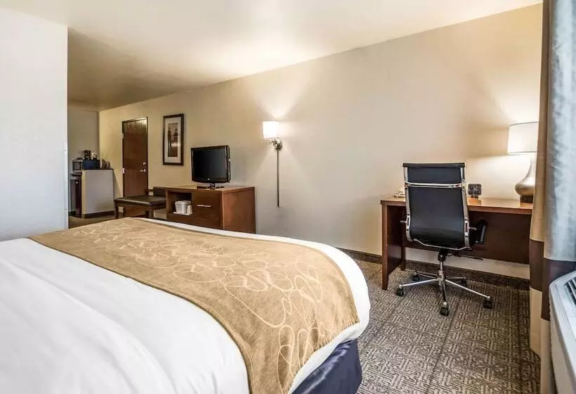 スイート, Comfort Suites At Par 4 Resort