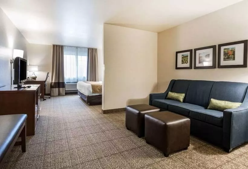 スイート, Comfort Suites At Par 4 Resort