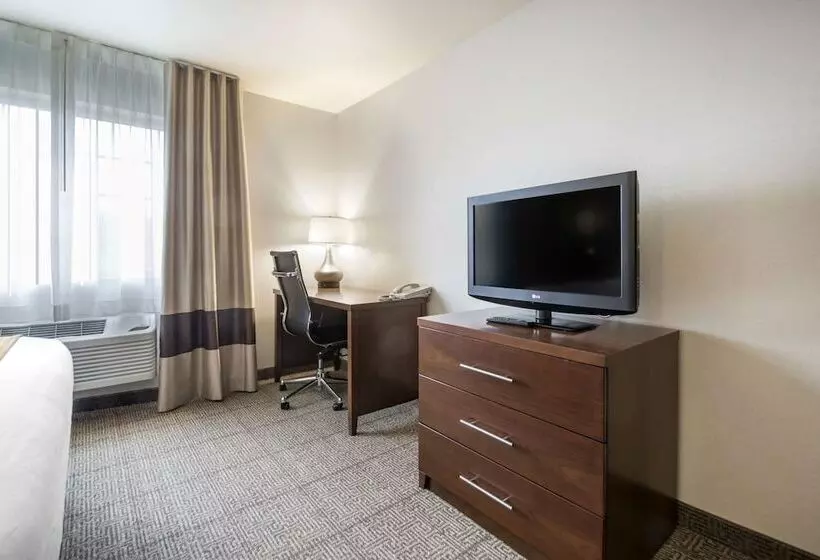 身障者適用スイートルーム, Comfort Suites At Par 4 Resort