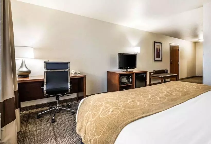 身障者適用スイートルーム, Comfort Suites At Par 4 Resort