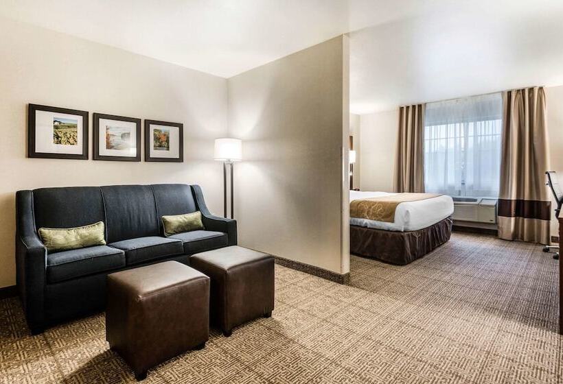 جناح لذوى الاحتياجات الخاصة, Comfort Suites At Par 4 Resort