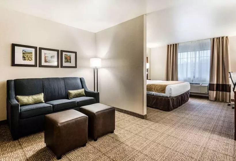 身障者適用スイートルーム, Comfort Suites At Par 4 Resort