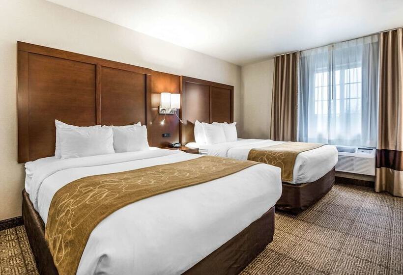 스위트, Comfort Suites At Par 4 Resort