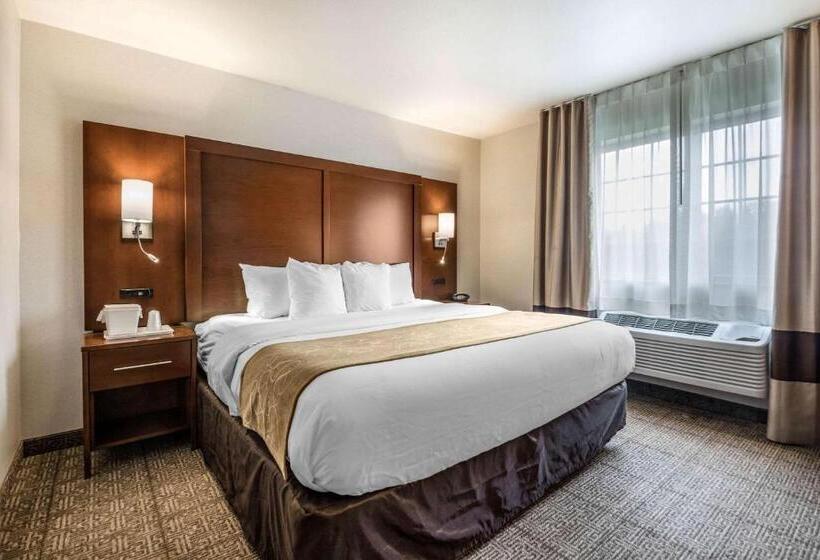 스위트 킹사이즈 침대, Comfort Suites At Par 4 Resort