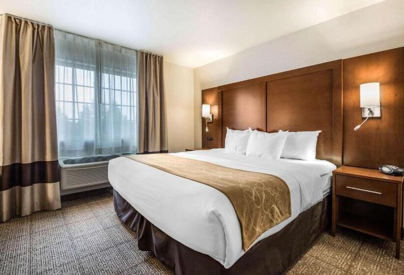 جناح سرير كينج, Comfort Suites At Par 4 Resort