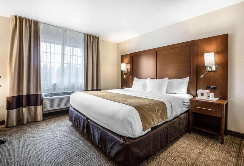 스위트 킹사이즈 침대, Comfort Suites At Par 4 Resort