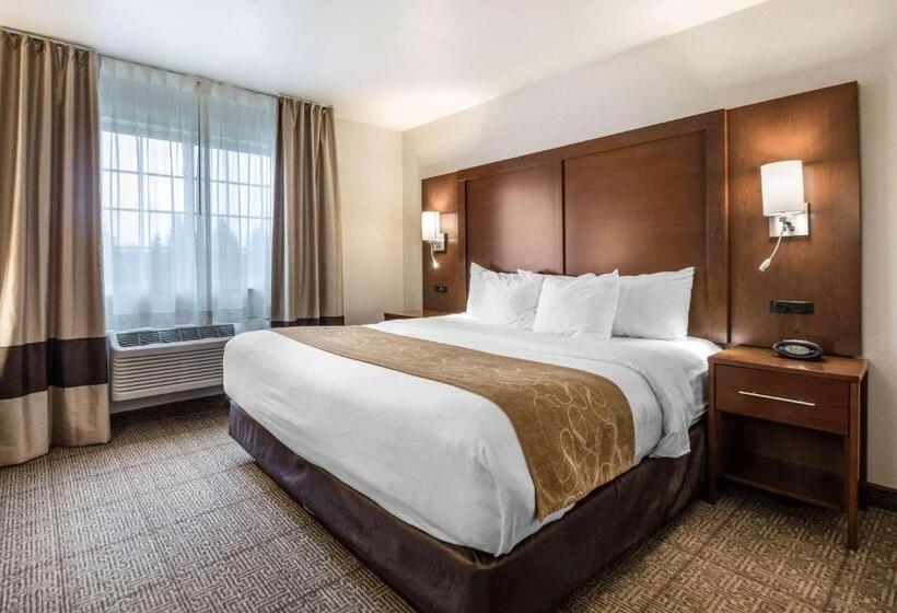 스위트 킹사이즈 침대, Comfort Suites At Par 4 Resort