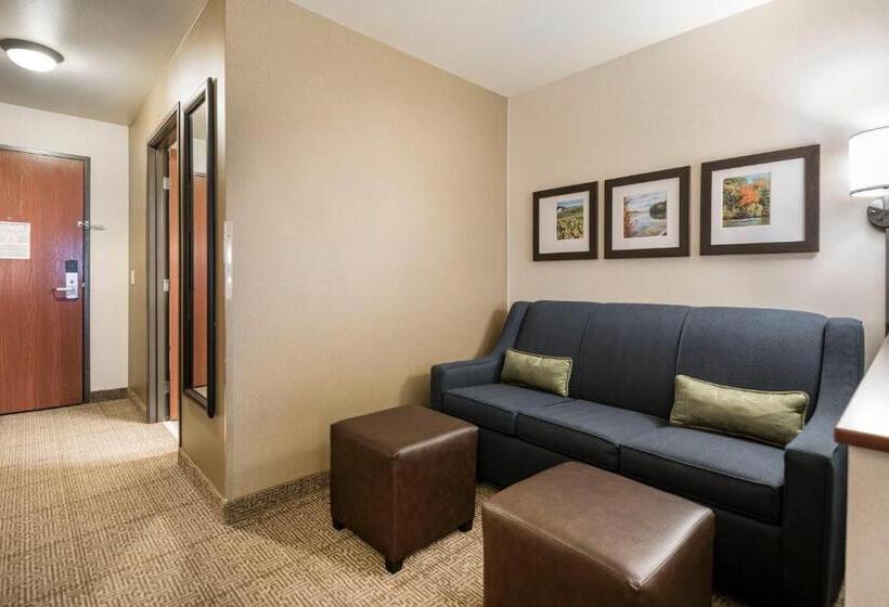 스위트, Comfort Suites At Par 4 Resort