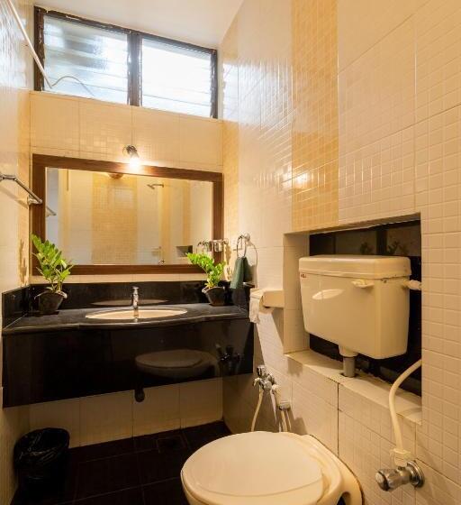 スタンダードルーム, The Banyan Soul