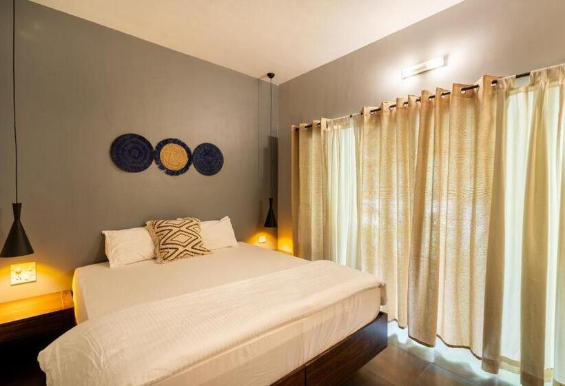 スタンダードルーム, The Banyan Soul