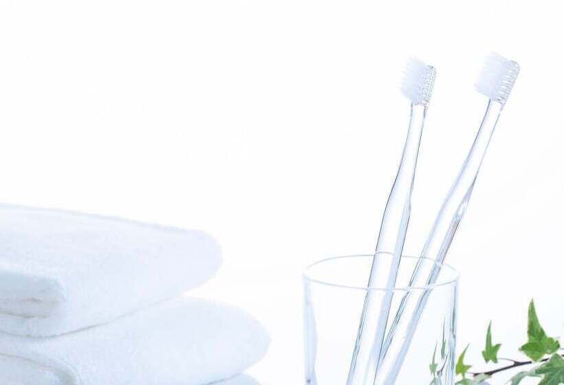 Номер Стандарт, Comfort Hotel Maebashi