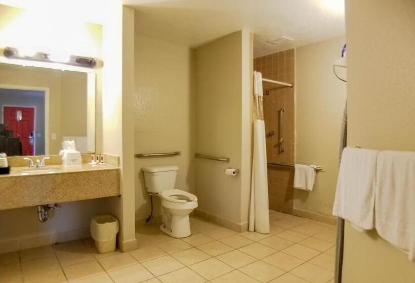 חדר סטנדרט, מיטת קינג, מותאם לאדם עם מוגבלויות, Howard Johnson By Wyndham Houston Hobby