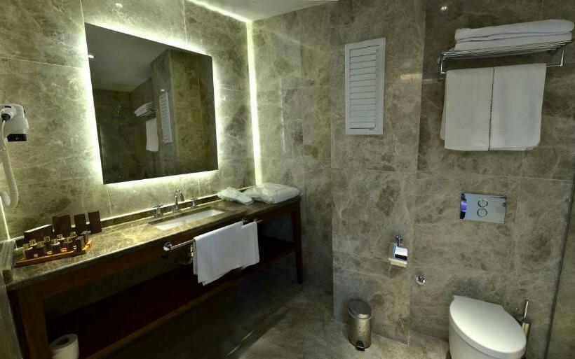 シティビューのデラックスルーム, Montania Special Class